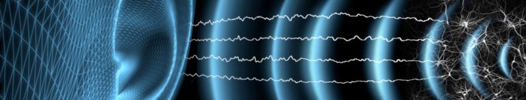 Psychofonie 2.0 Bild